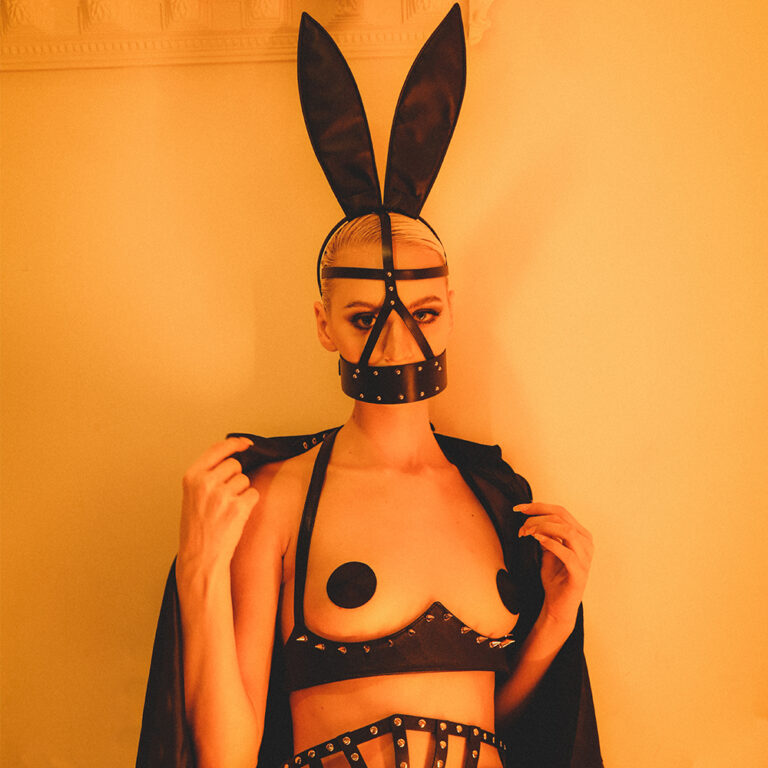 BDSM Lingerie