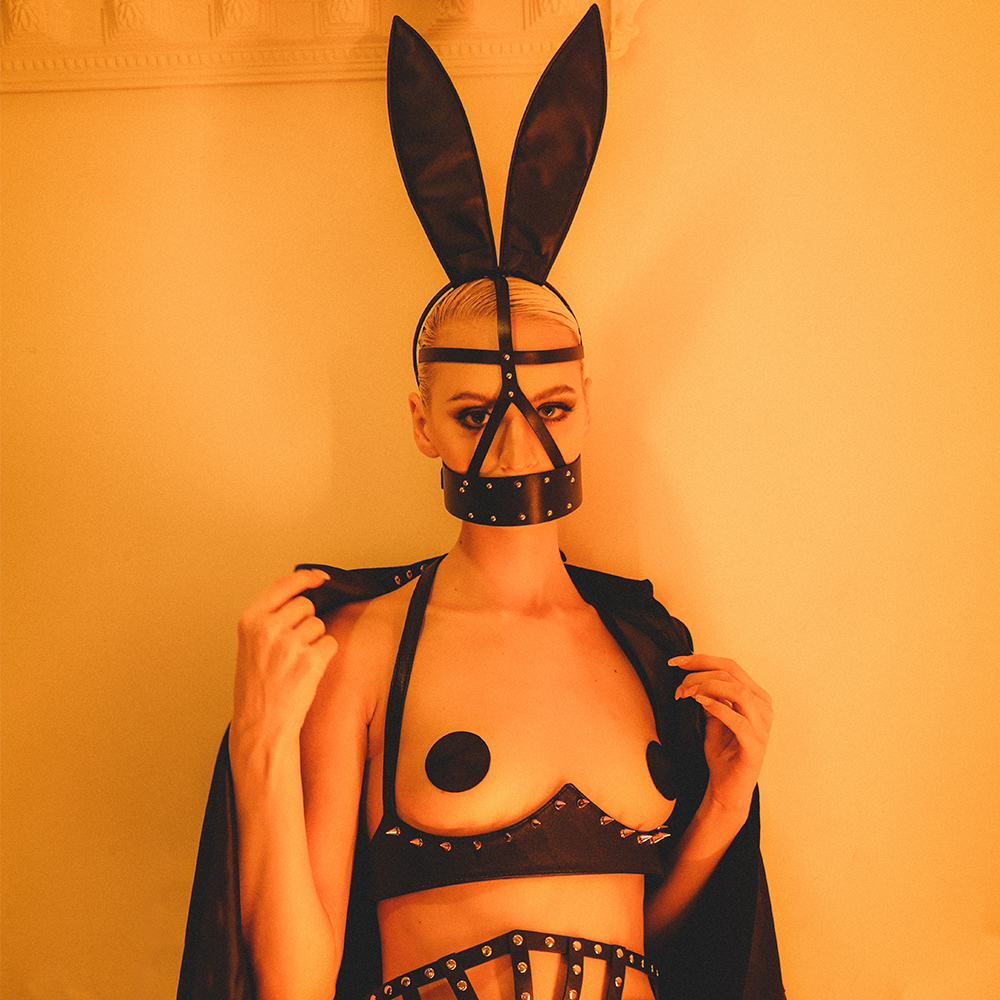 BDSM Lingerie