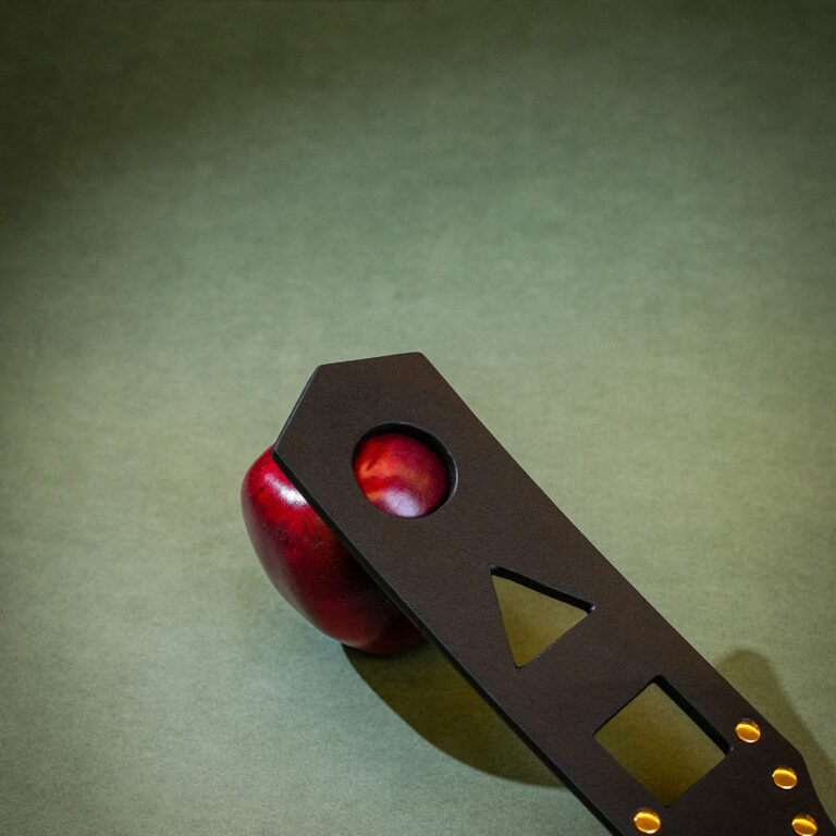 BDSM Paddle4