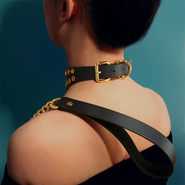Elegant T-Chain BDSM Collar2