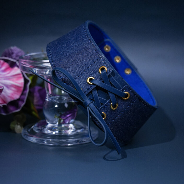 BDSM-Halsband-Western-Thema-2025